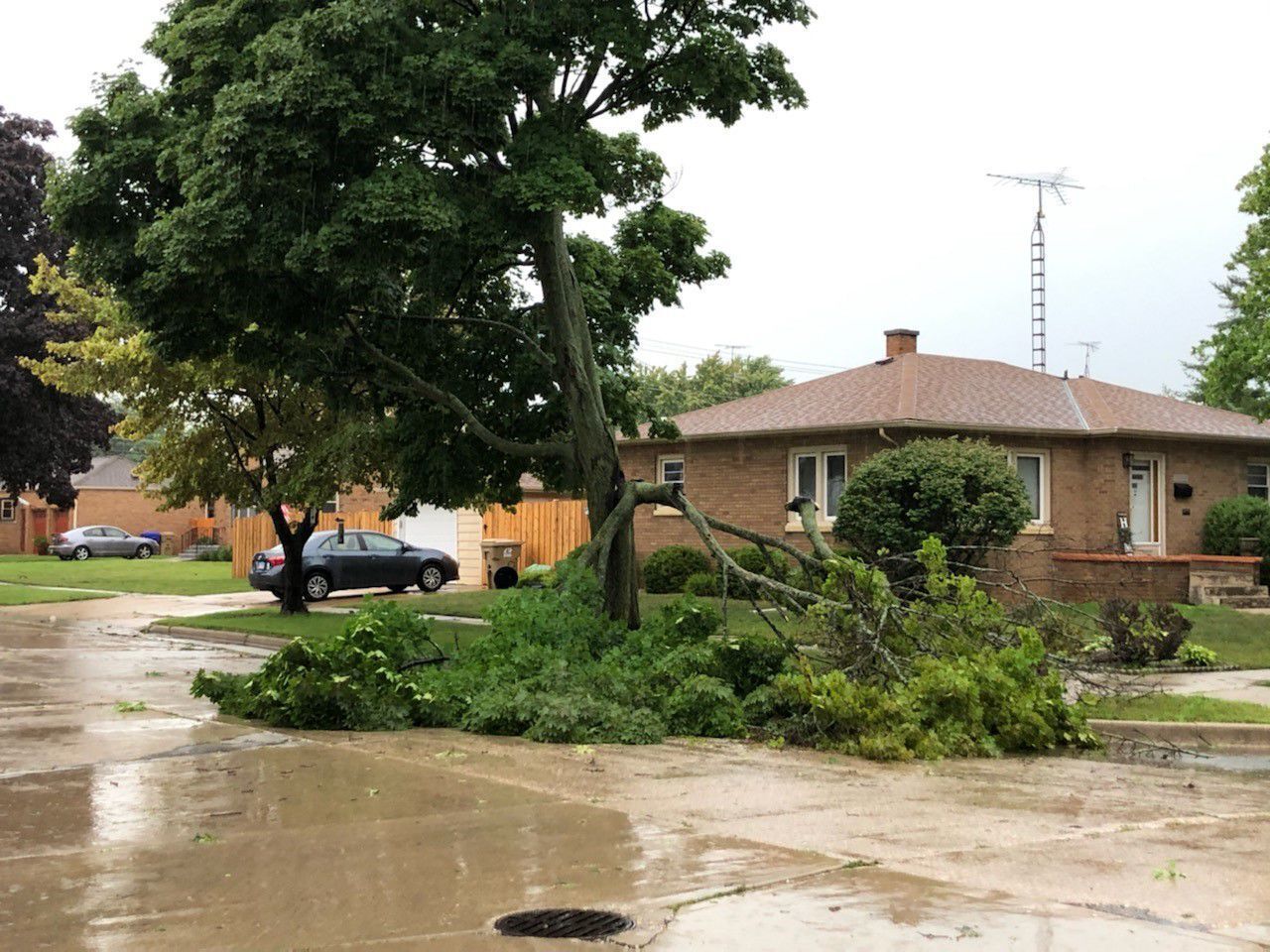 Storm damage